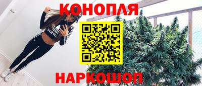 Альфа ПВП Кандалакша