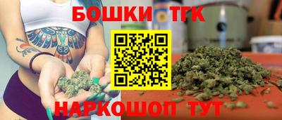 Альфа ПВП Кандалакша