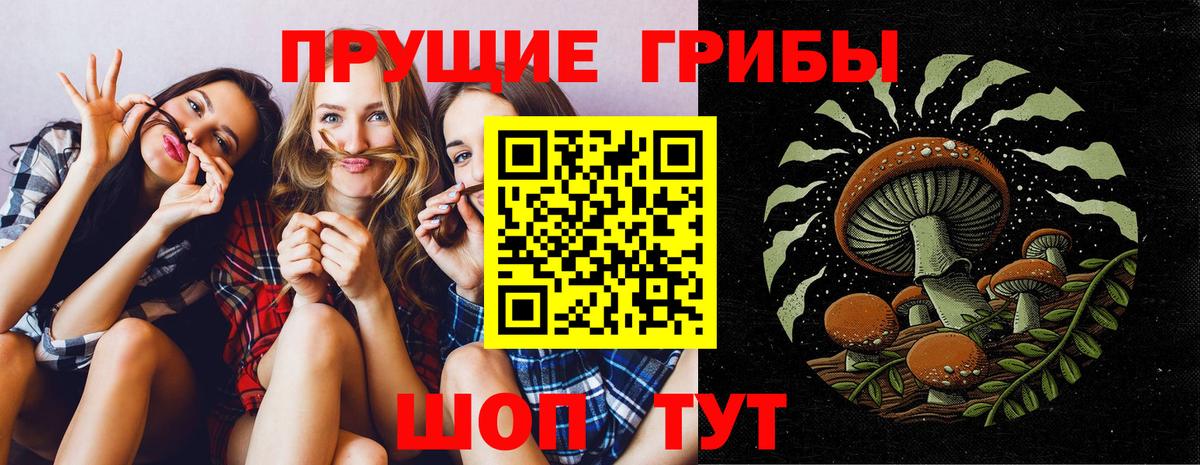 Ленинск-Кузнецкий  Псилоцибиновые грибы мицелий  Вход с VPN 